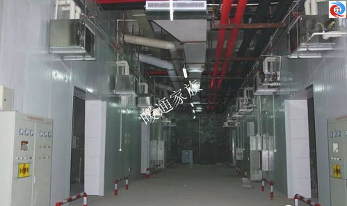 開開眼界 食用菌工廠化培育環(huán)境系統(tǒng)工程現(xiàn)場(chǎng)實(shí)拍